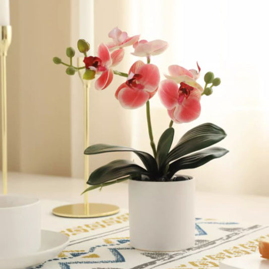Artificial Phalaenopsis Flower Bonsai